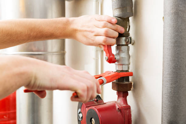 Best Trenchless Pipe Repair  in Holly Hill, SC